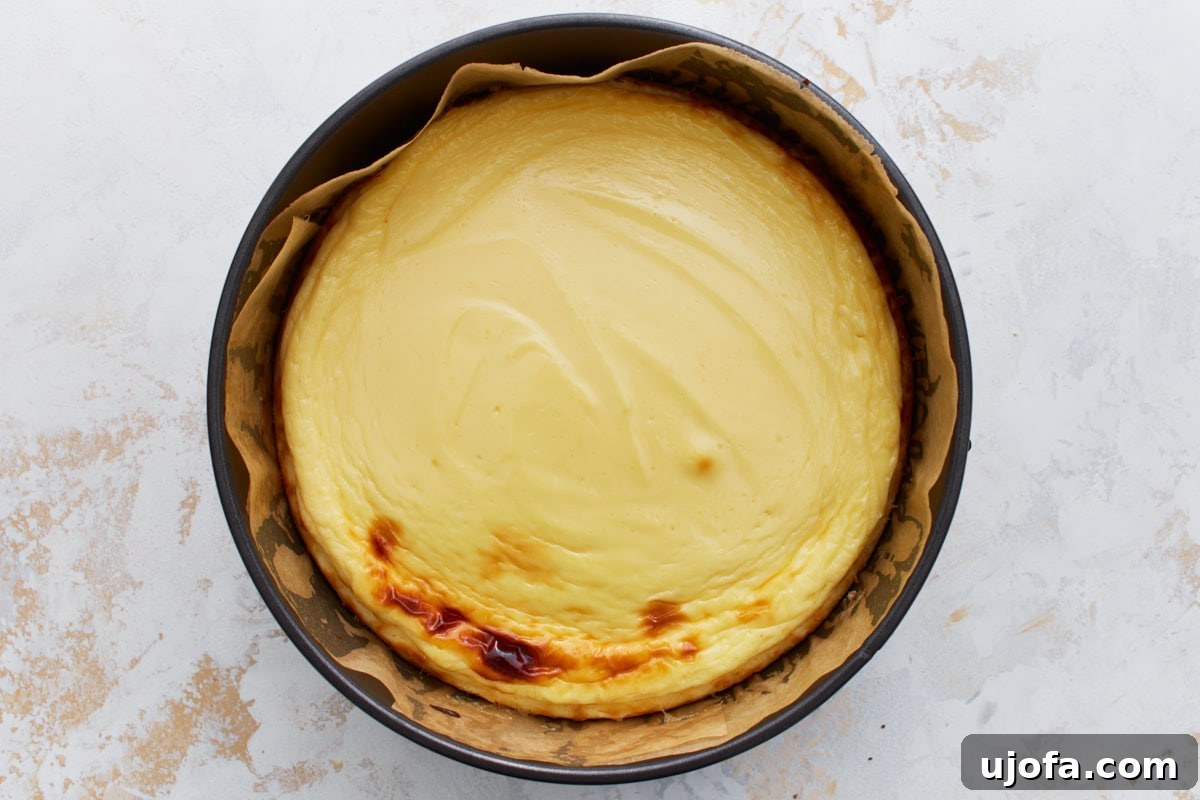 Decadent Keto Cheesecake 12 Freshly baked keto cheesecake in a springform pan with lightly golden edges and a smooth top.
