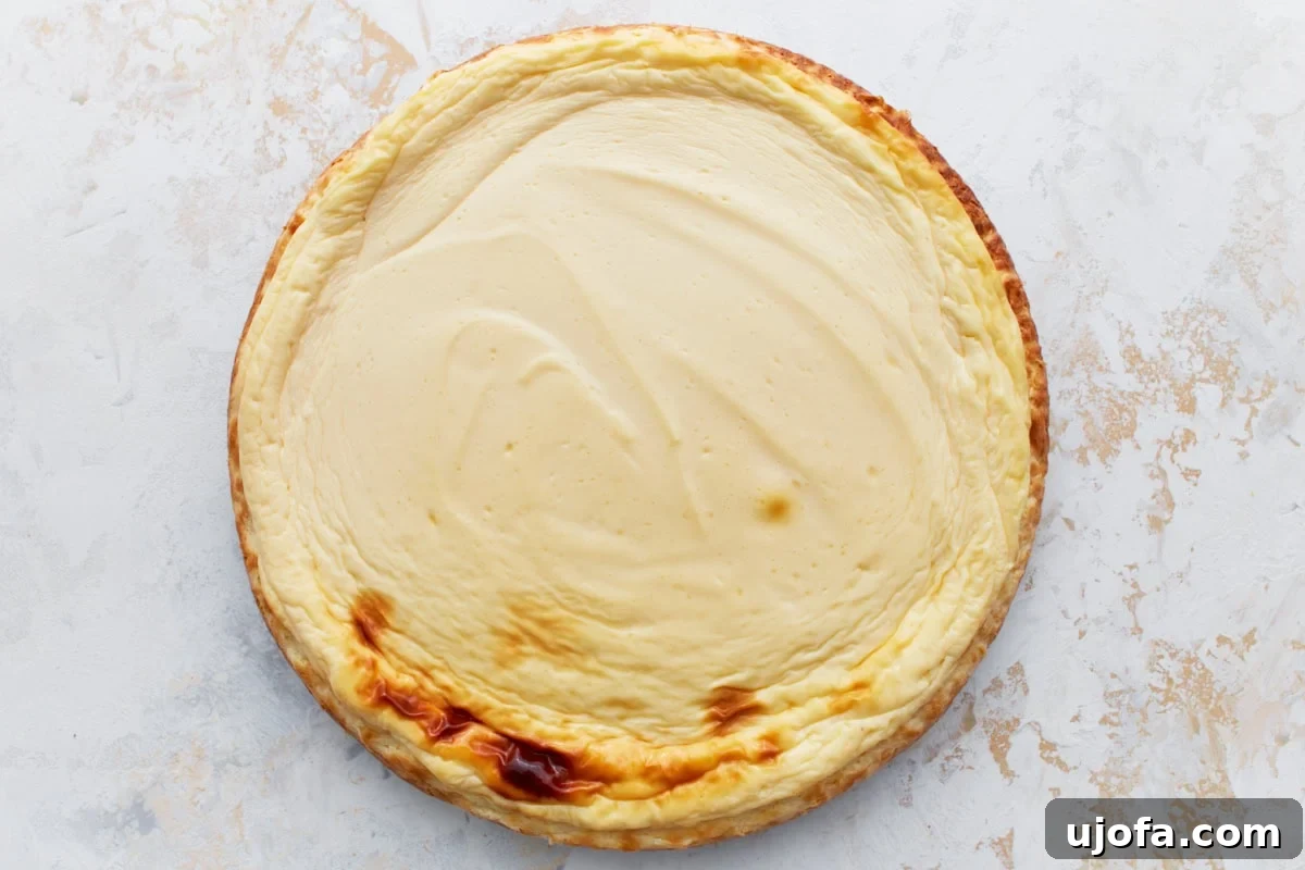 Decadent Keto Cheesecake 13 Whole baked keto cheesecake with a lightly golden edge and a smooth, creamy surface, resting on a white background.