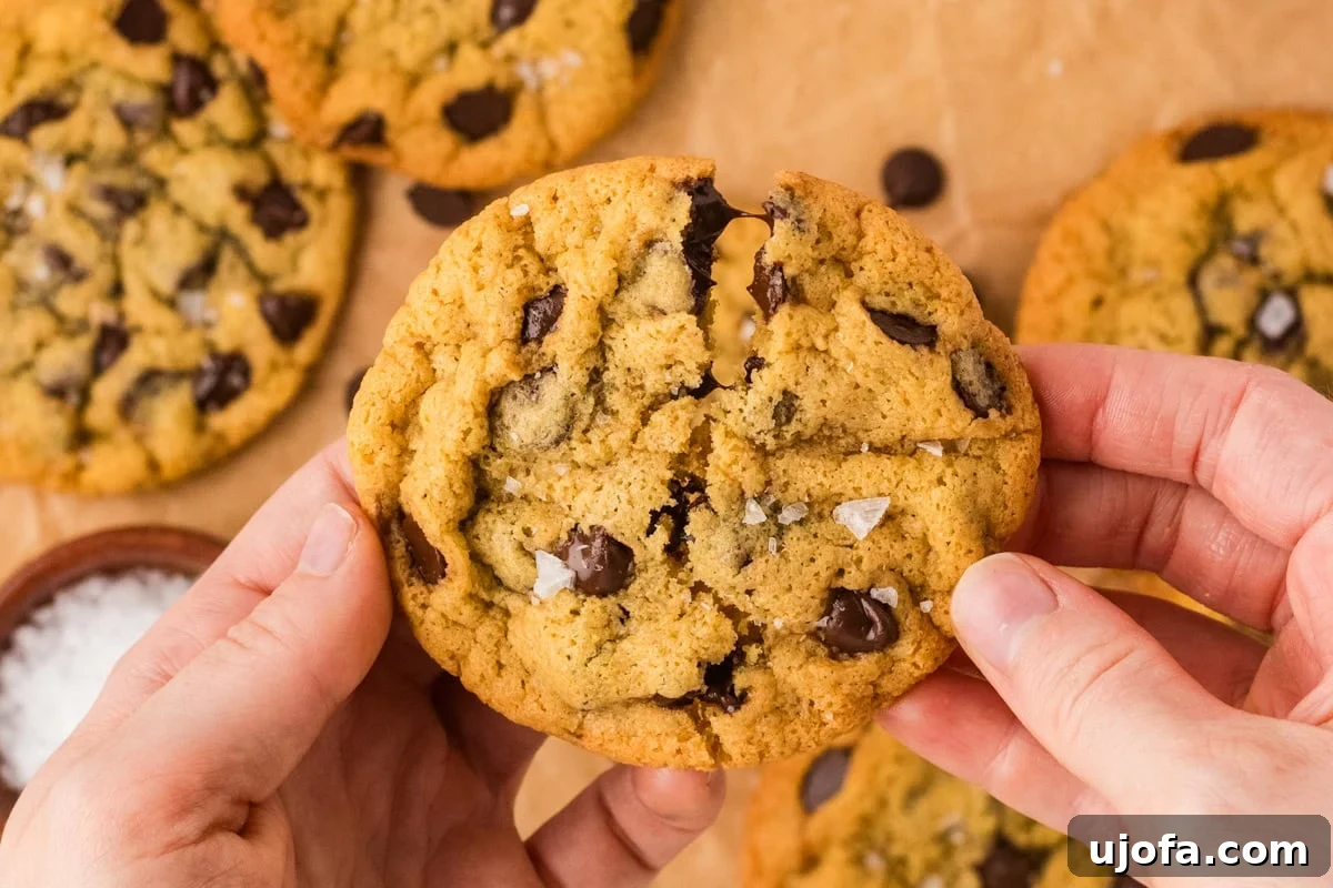 Hands breaking apart a chickpea chocolate chip cookie topped with flaky salt, revealing gooey melted chocolate inside, emphasizing its tempting texture.