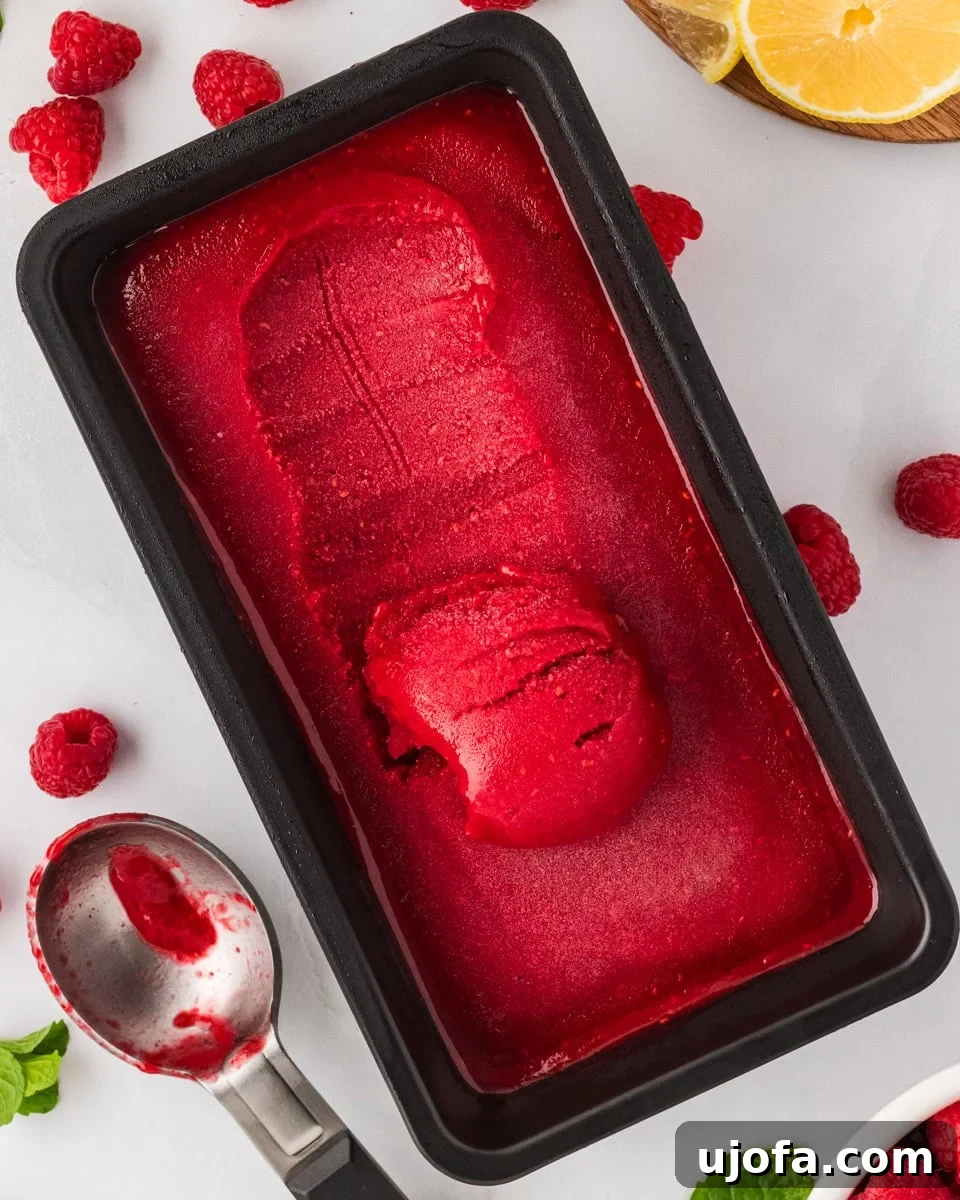 A black loaf pan filled with bright red raspberry sorbet, with one scoop removed and a metal ice cream scoop resting beside fresh raspberries and lemon slices.