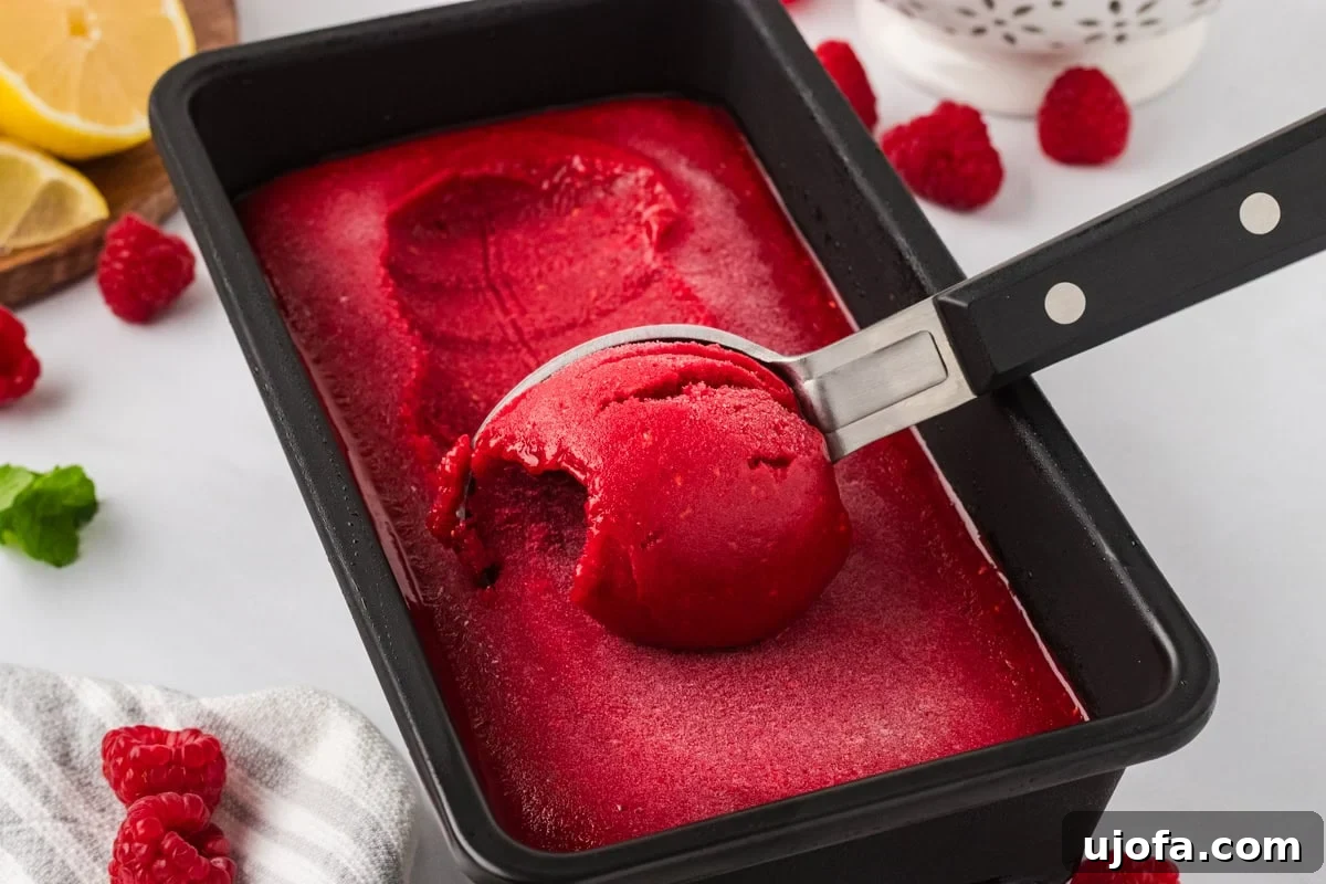 A metal ice cream scoop lifting a round scoop of bright red raspberry sorbet from a black container.