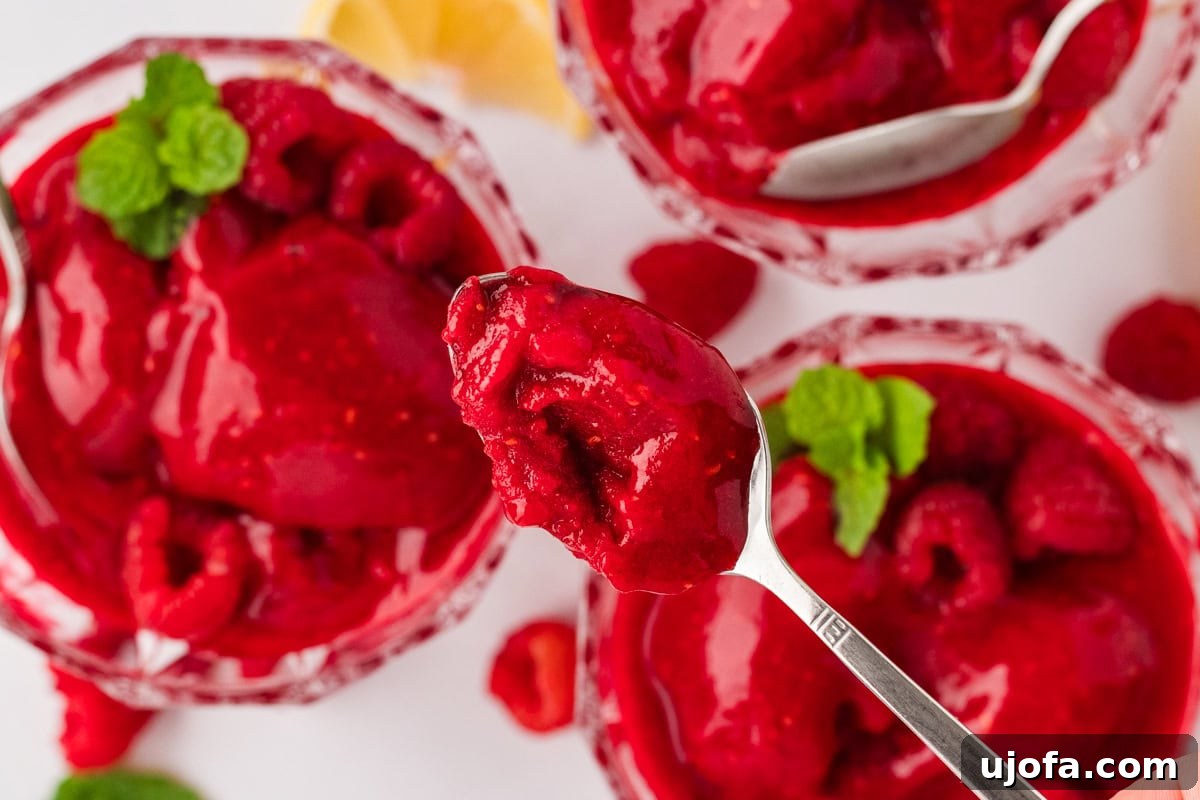 A spoonful of raspberry sorbet held above glass dessert bowls filled with sorbet, fresh raspberries, and garnished with mint leaves.