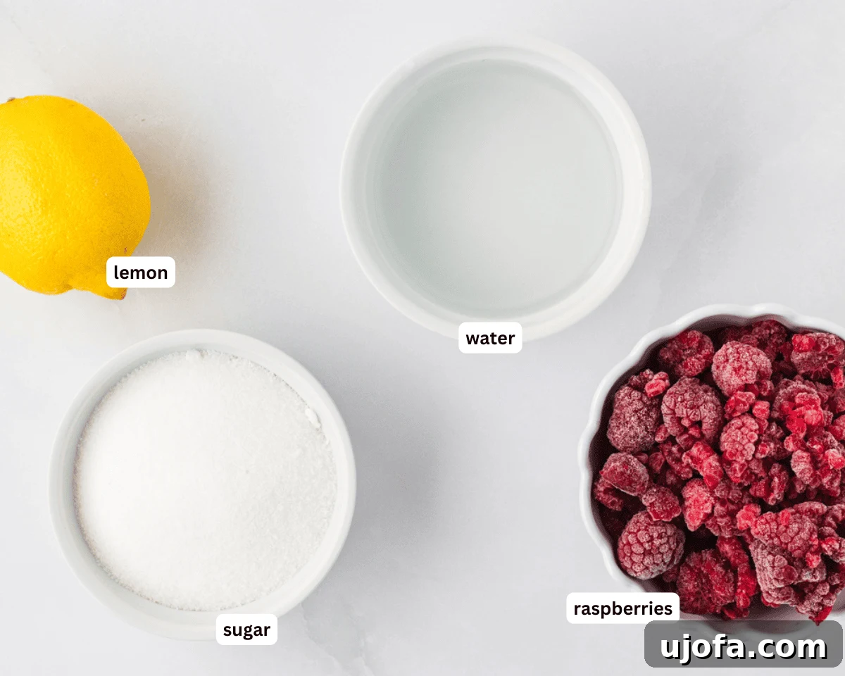A selection of ingredients for raspberry sorbet including frozen raspberries, lemon, sugar, and a bowl of water.
