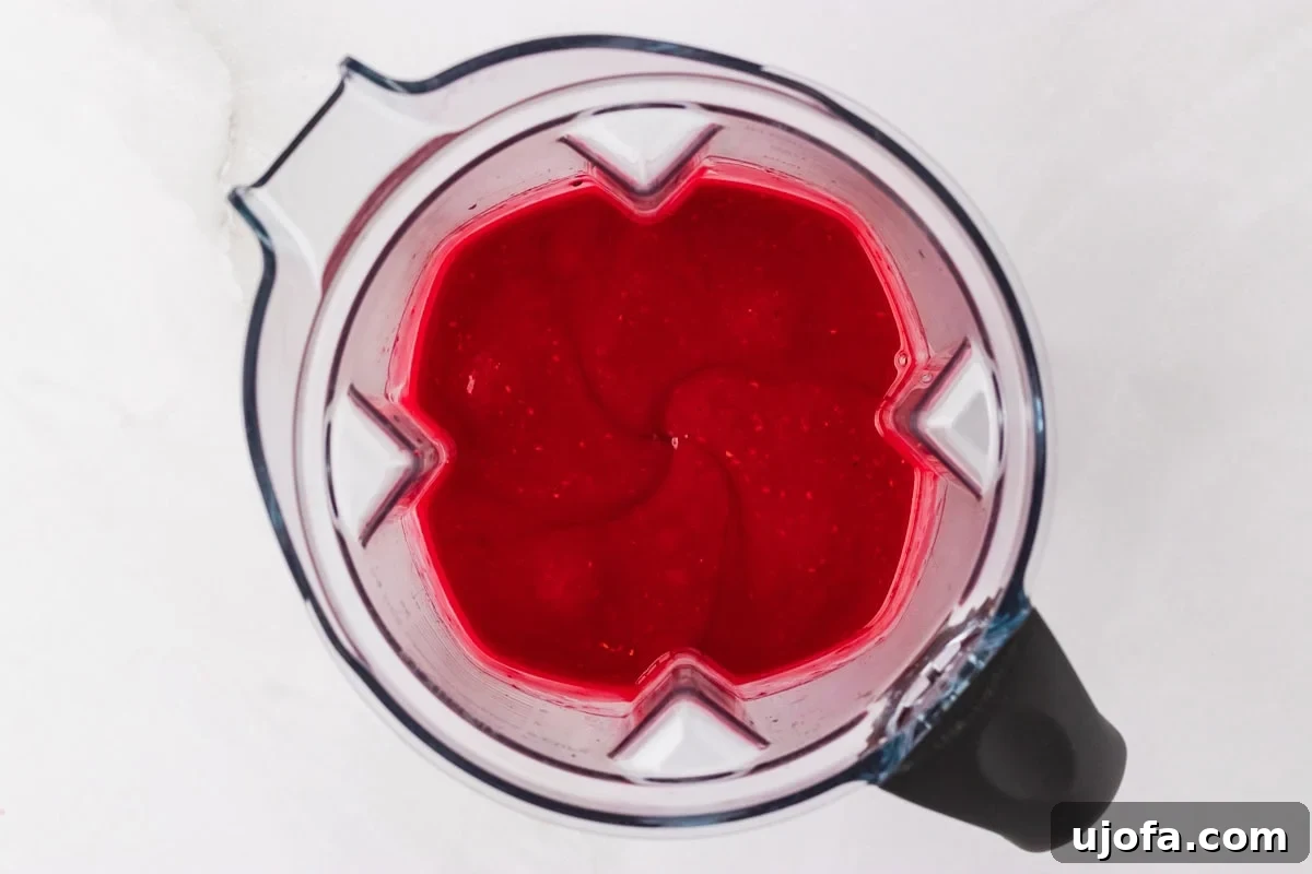 A blender jar filled with smooth, blended raspberry sorbet mixture.