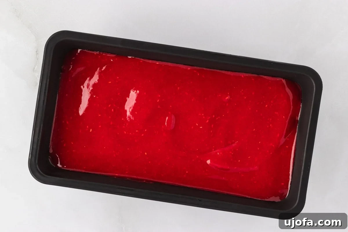 A black container holding freshly blended raspberry sorbet mixture before freezing.