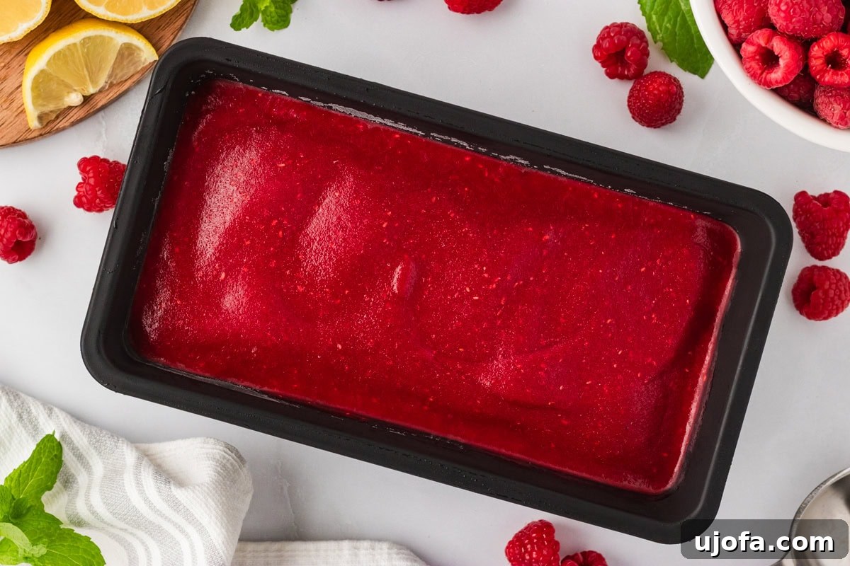 A black container of raspberry sorbet mixture set on a counter surrounded by fresh raspberries, lemon slices, and mint leaves.