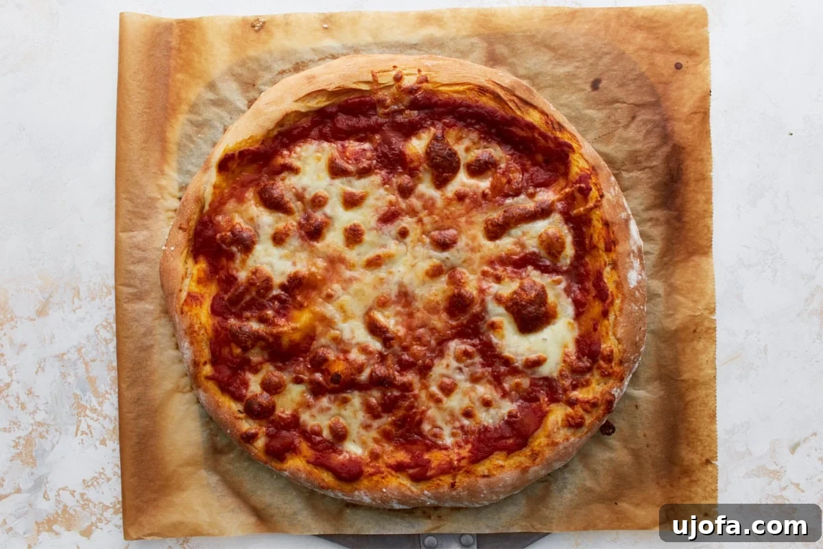 Plant-Based Pizza Perfection 11 A golden-brown vegan pizza fresh out of the oven on parchment paper, cheese melted across the surface.