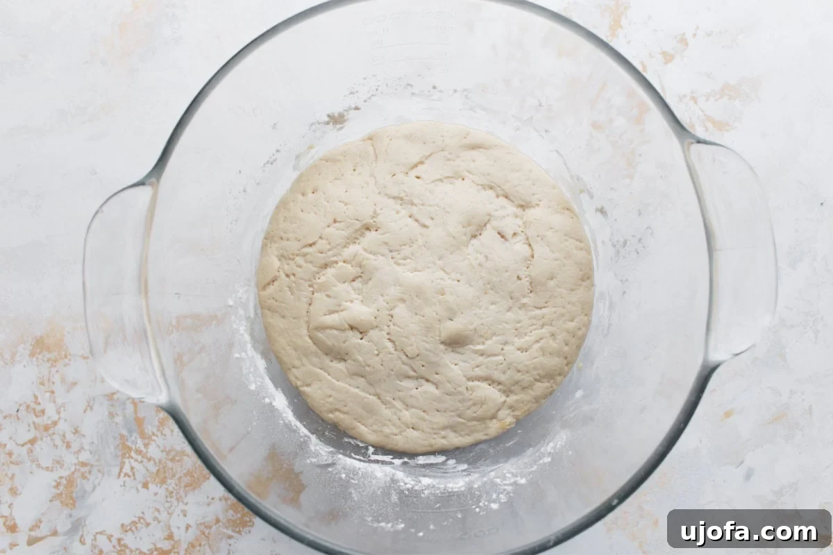 Plant-Based Pizza Perfection 8 The risen gluten-free dough in a glass bowl, doubled in size and airy with small bubbles on the surface.