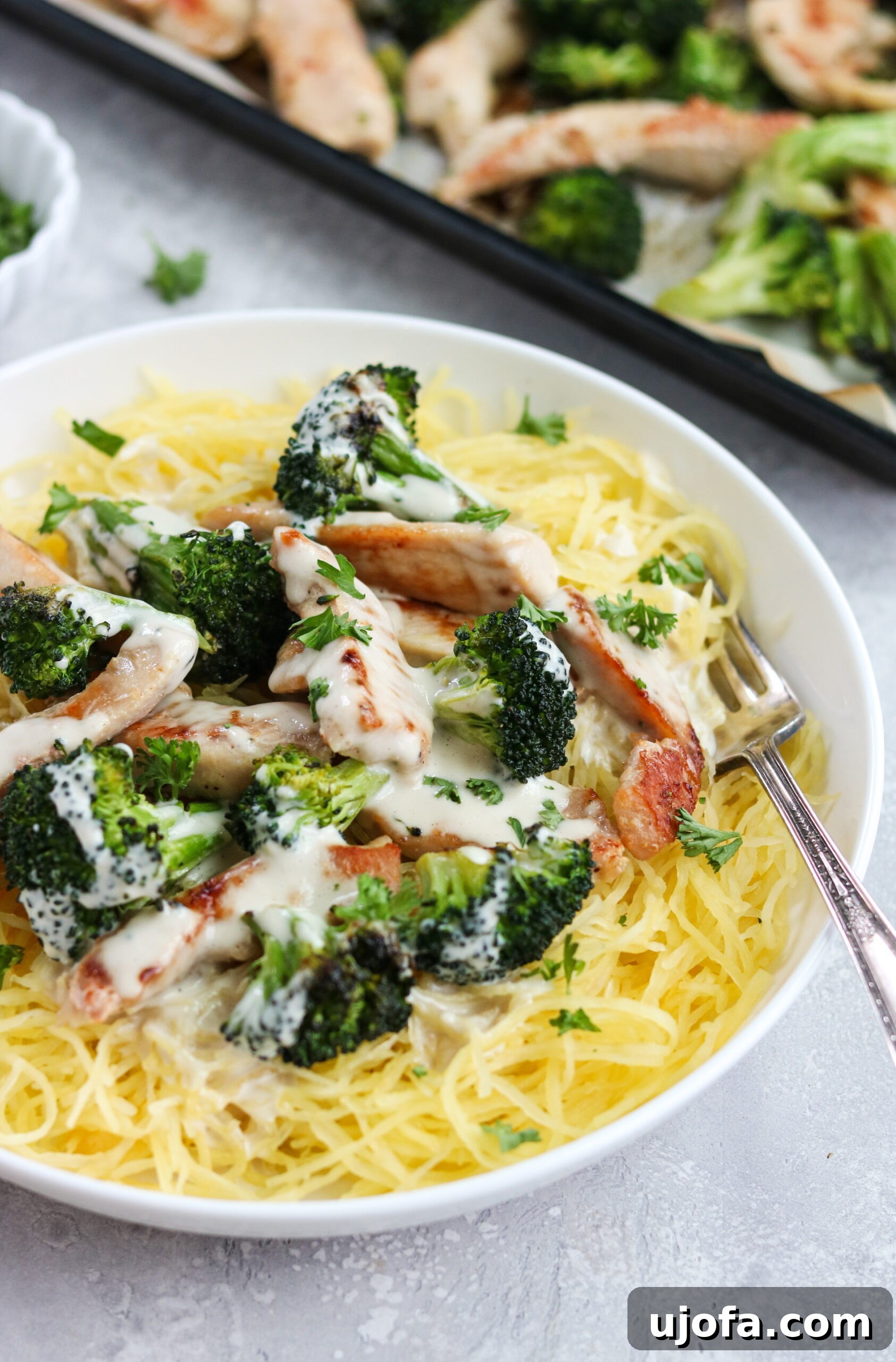 Creamy Whole30 Chicken Broccoli Alfredo 5 Prepared Whole30 Chicken Broccoli Alfredo dish