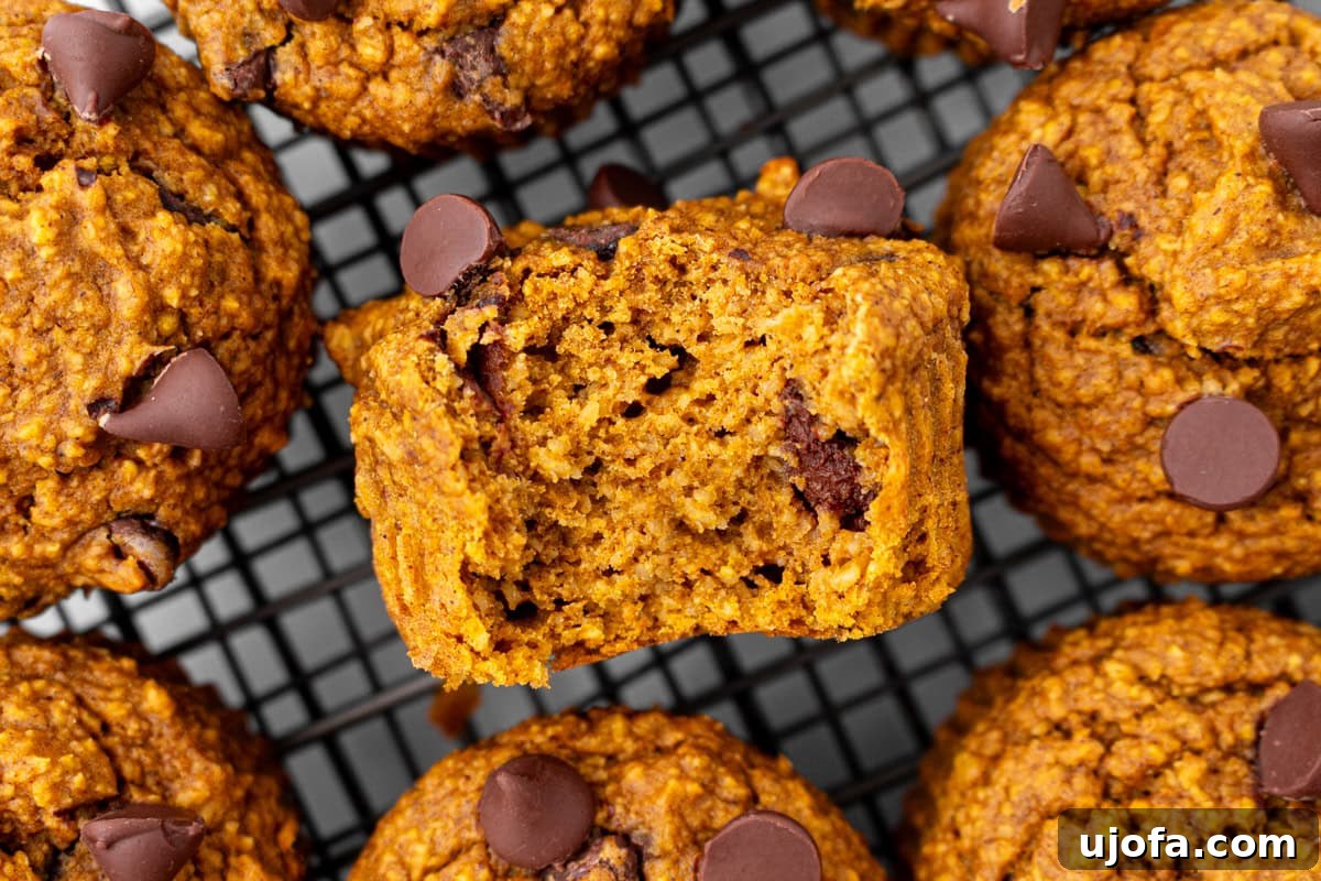 Spiced Pumpkin Cloud Muffins 11 Close-up of a pumpkin muffin with a bite taken out, showing the moist, tender crumb and gooey chocolate chips inside, inviting you to take a bite.