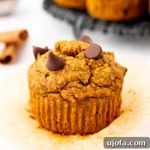 Flourless pumpkin muffin unwrapped on parchment liner, topped with melty chocolate chips and ready to eat.