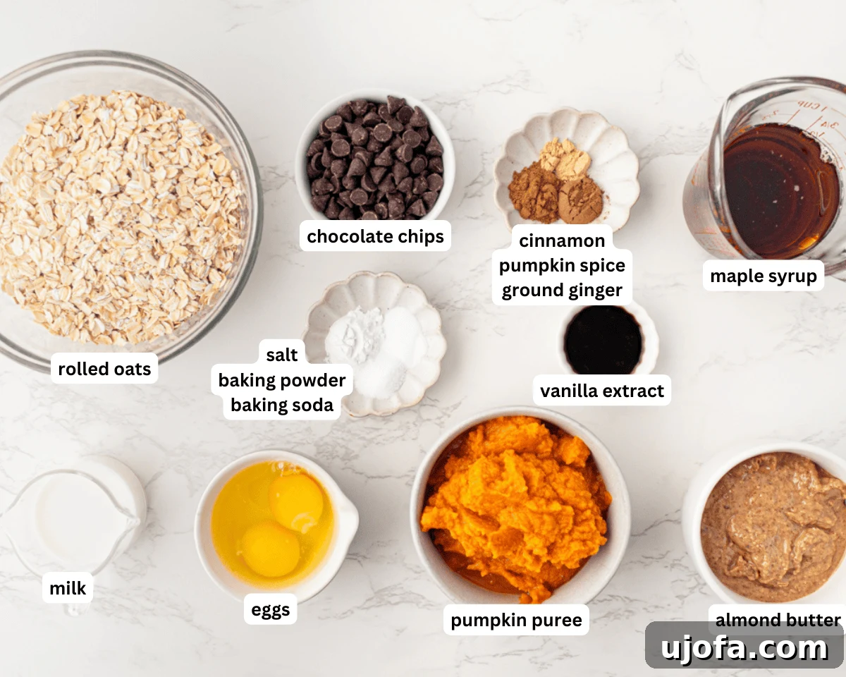 Spiced Pumpkin Cloud Muffins 4 All the wholesome ingredients laid out for making flourless pumpkin muffins, including pumpkin puree, oats, eggs, almond butter, maple syrup, and spices.