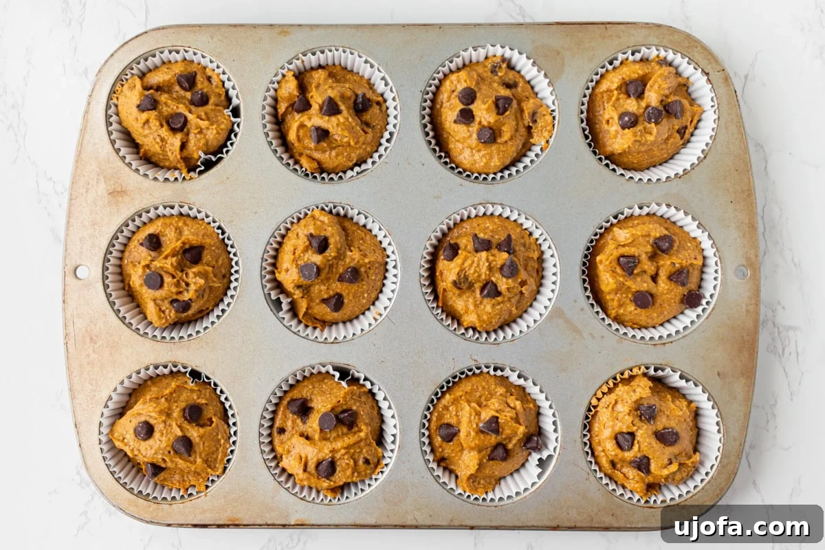 Spiced Pumpkin Cloud Muffins 8 Muffin tin lined with paper cups filled with pumpkin batter and topped with chocolate chips, ready for the oven to bake into flourless pumpkin muffins.