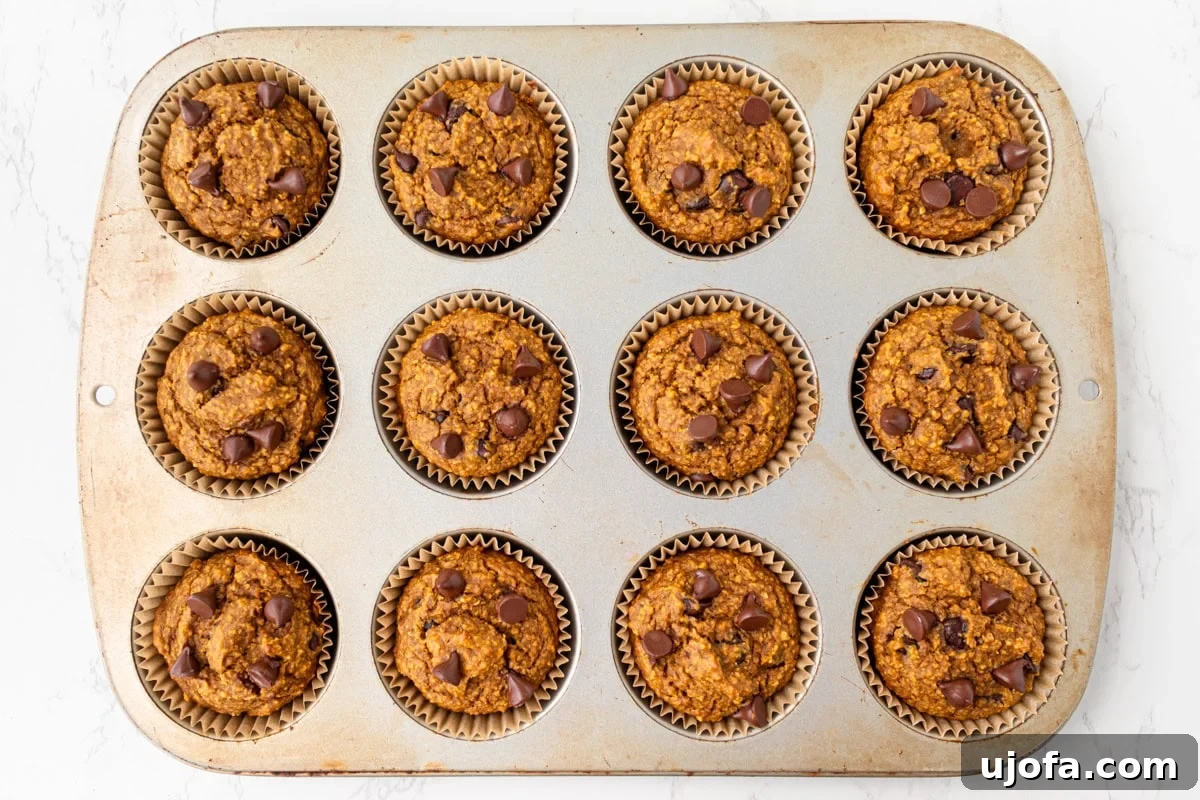 Spiced Pumpkin Cloud Muffins 9 Tray of freshly baked flourless pumpkin muffins, golden and studded with chocolate chips right out of the oven, smelling of warm spices.