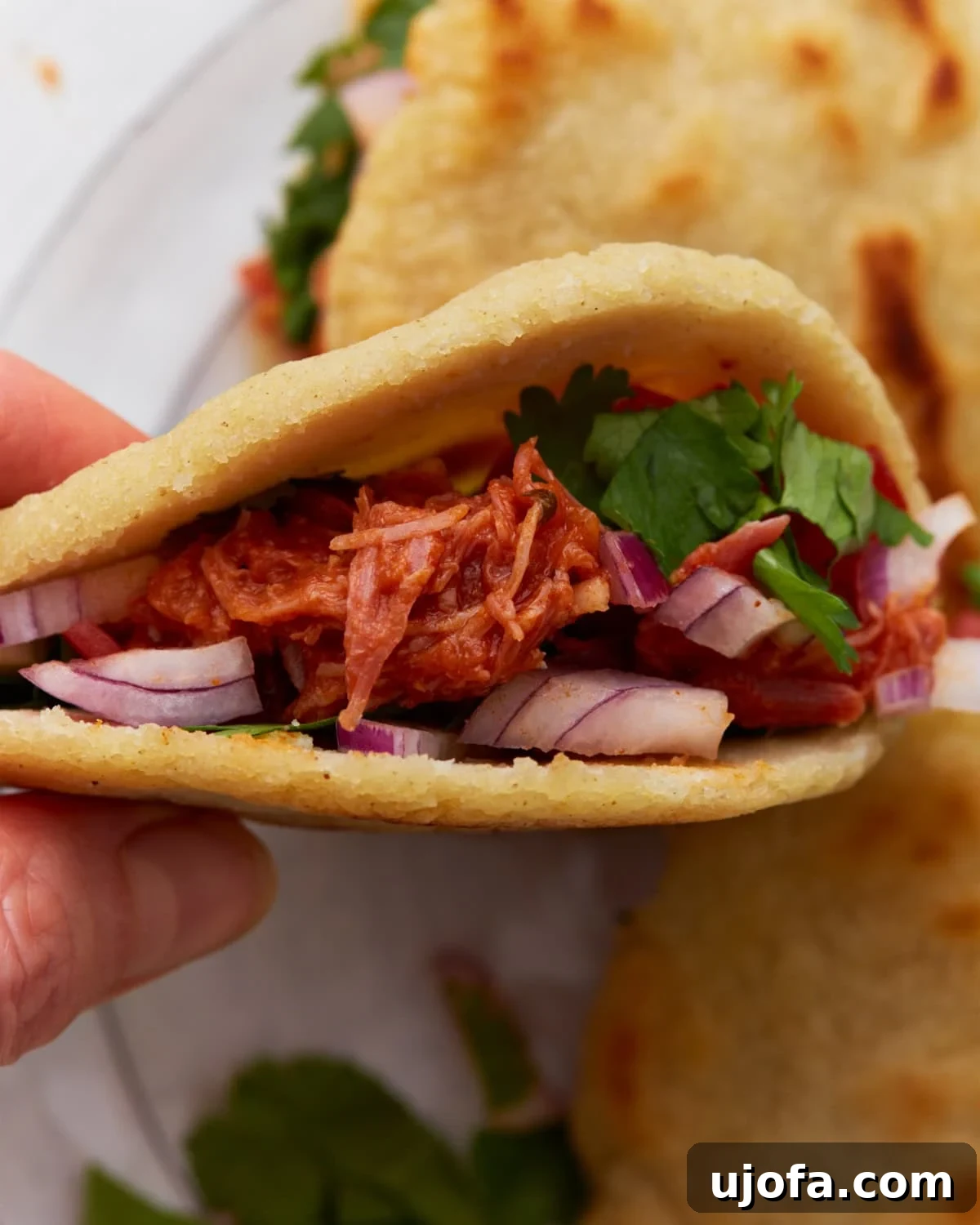 Authentic Mexican Gorditas 2 Close-up of a gluten-free gordita filled with shredded chicken, red onions, and fresh cilantro, showcasing its inviting texture and vibrant filling.