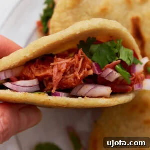 Authentic Mexican Gorditas 3 Close-up of a gluten-free gordita filled with shredded chicken, red onions, and fresh cilantro, perfectly golden brown.