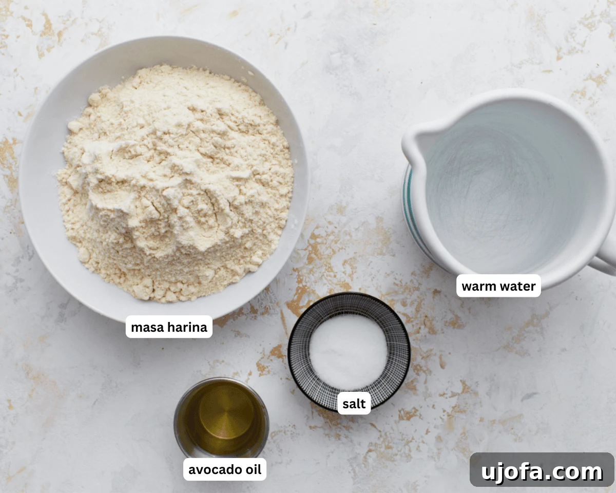 Authentic Mexican Gorditas 4 All the essential ingredients for gluten-free gorditas laid out on a clean white surface, including masa harina, salt, warm water, and avocado oil.