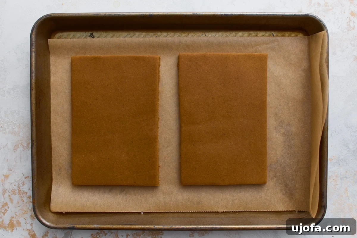 Two rectangular gingerbread roof panels unbaked