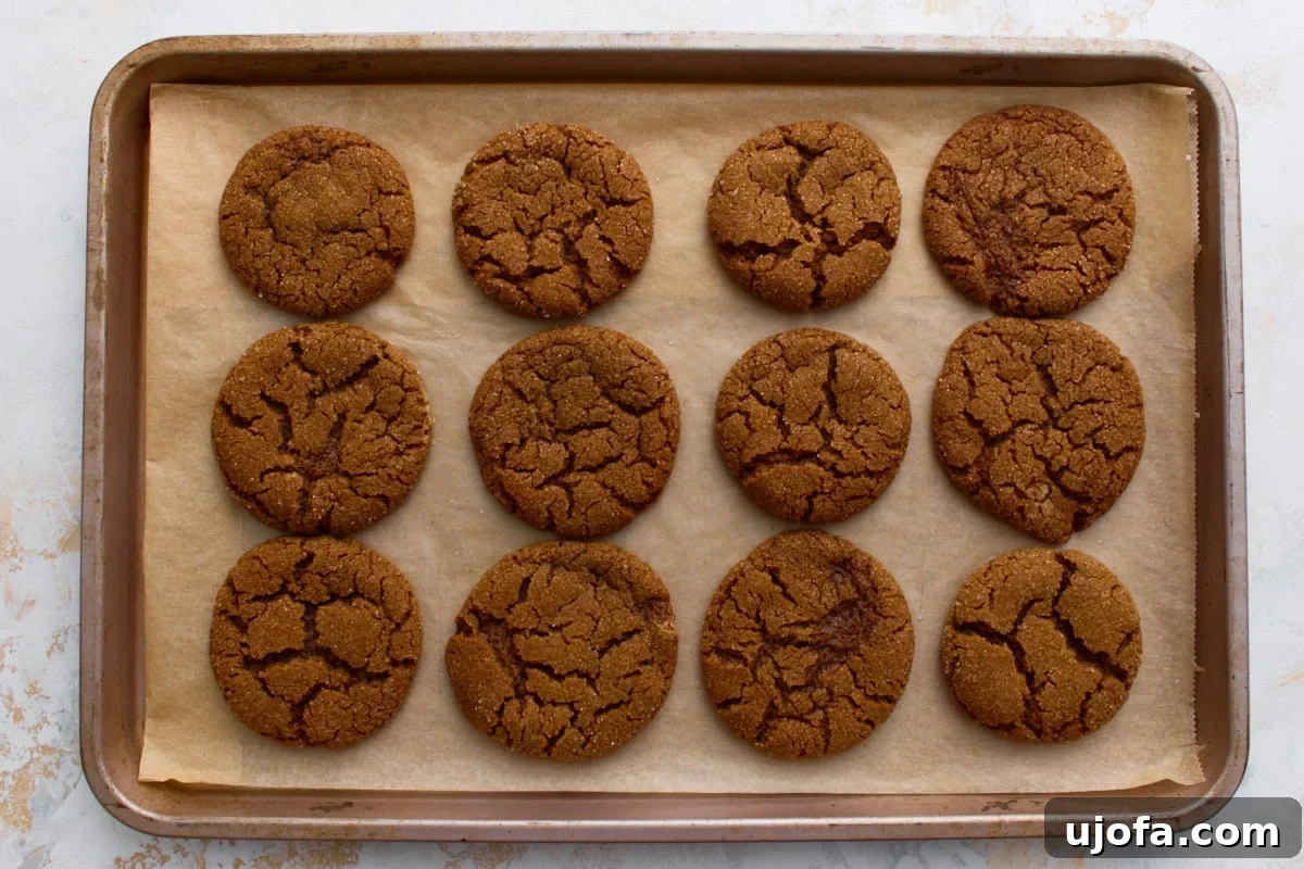 Spiced Gluten-Free Ginger Snaps 10 Freshly baked gluten-free gingersnaps cooling on a baking sheet, displaying their beautiful crackled surface and golden-brown edges.