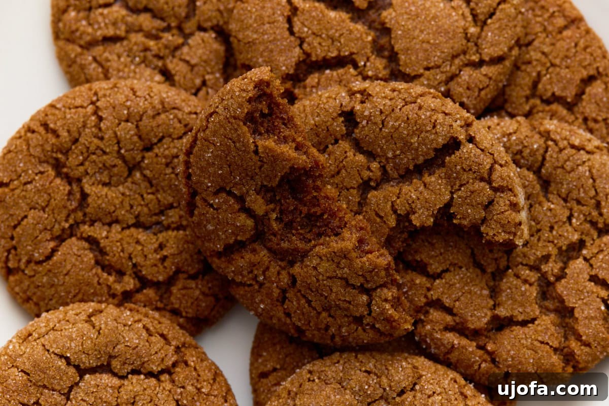 Spiced Gluten-Free Ginger Snaps 12 Close-up of a gluten-free gingersnap showcasing its detailed crackled, chewy texture and rich, inviting color.