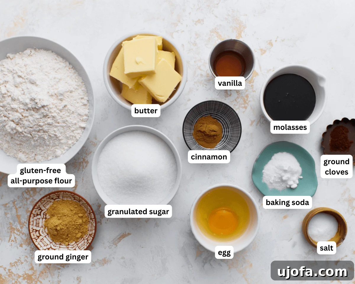Spiced Gluten-Free Ginger Snaps 4 A collection of perfectly measured gluten-free gingersnaps ingredients laid out on a clean counter, ready for mixing.