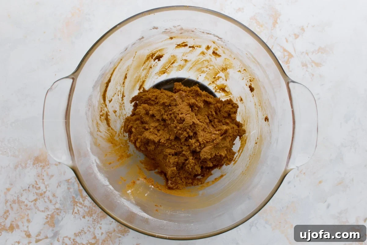 Spiced Gluten-Free Ginger Snaps 7 The combined cookie dough after wet and dry ingredients are mixed, ready for chilling.