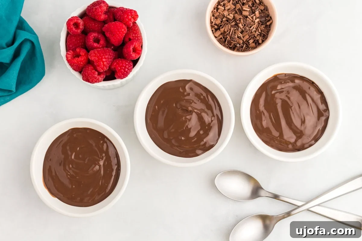 Bowls of dairy-free chocolate pudding arranged with fresh raspberries and shaved chocolate for serving.