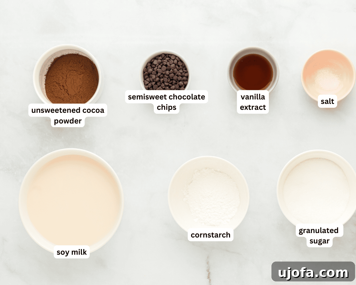 Dairy-free chocolate pudding ingredients laid out on a clean surface.