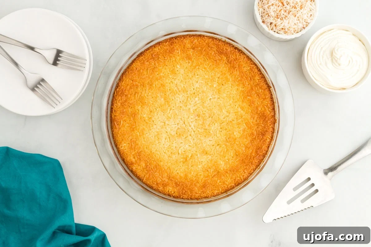 Velvet Coconut Dream 11 An overhead shot captures a beautifully baked crustless coconut pie, generously topped with fluffy whipped cream and scattered with golden toasted coconut, ready to be served and enjoyed.