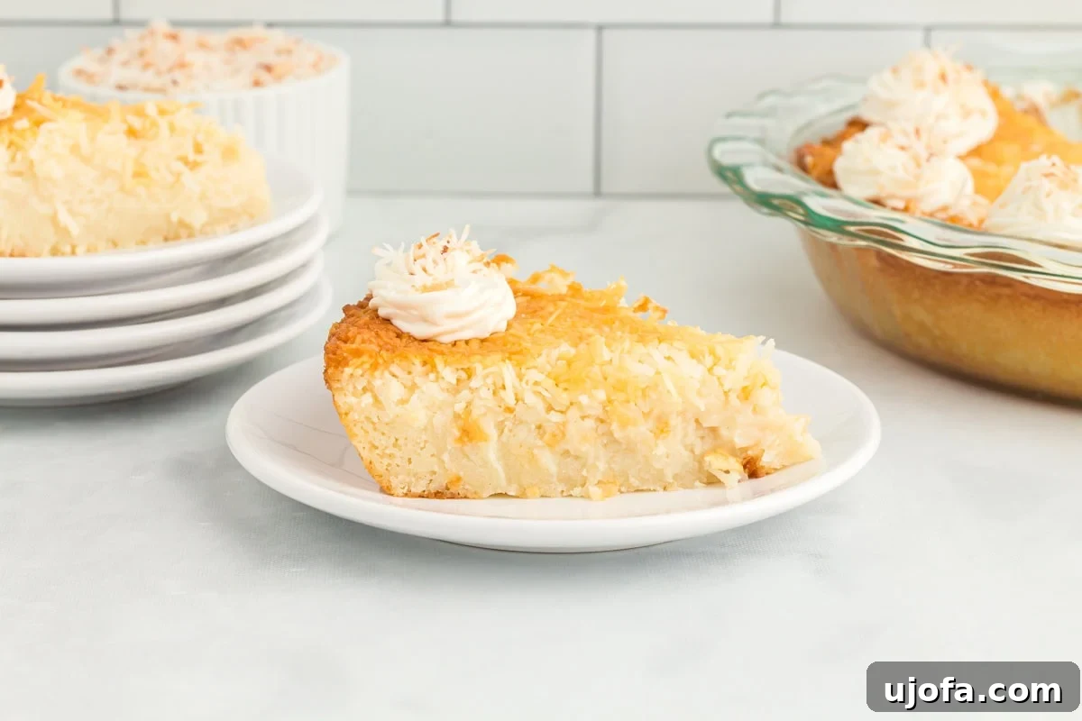 Velvet Coconut Dream 12 A perfectly chilled slice of crustless coconut pie on a white plate, crowned with a swirl of whipped cream and toasted coconut, with the whole pie and additional plates artfully blurred in the background, signaling a delightful dessert spread.