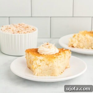 Velvet Coconut Dream 3 Slice of crustless coconut pie on a white plate topped with whipped cream and toasted coconut.