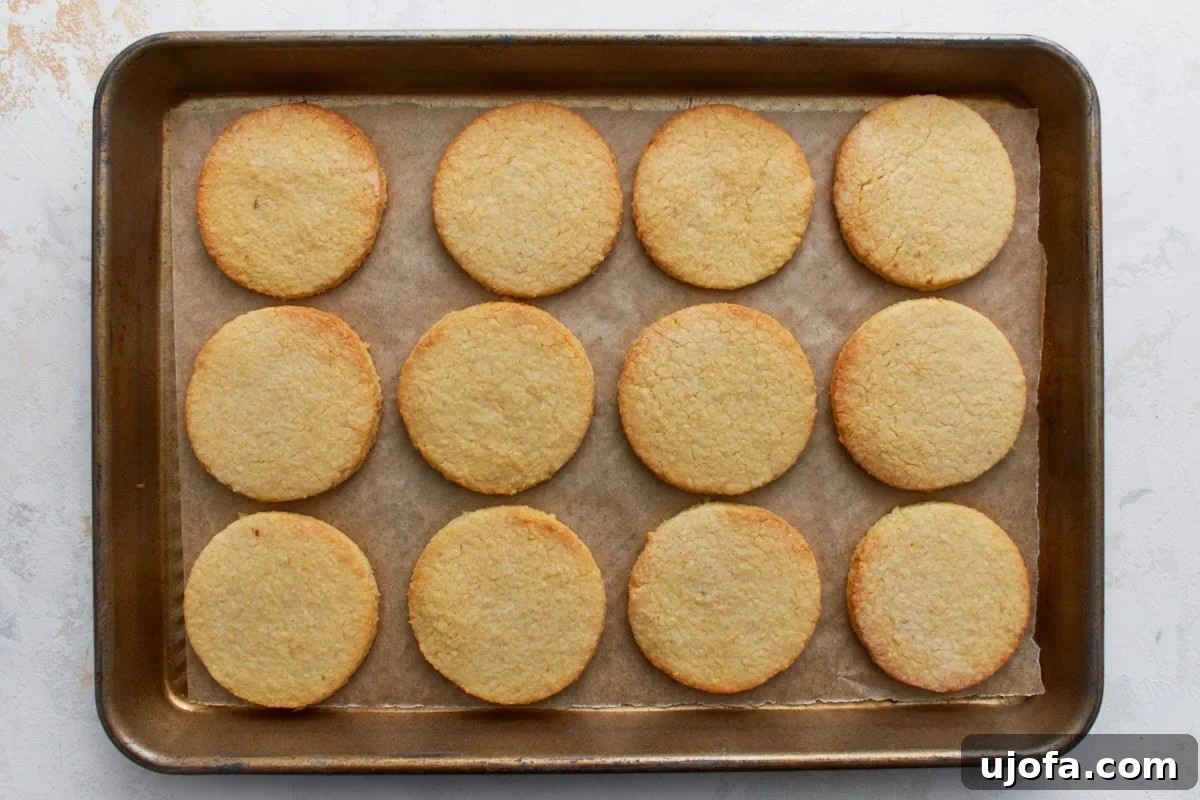 Freshly baked almond flour sugar cookies on a baking sheet with lightly golden edges.