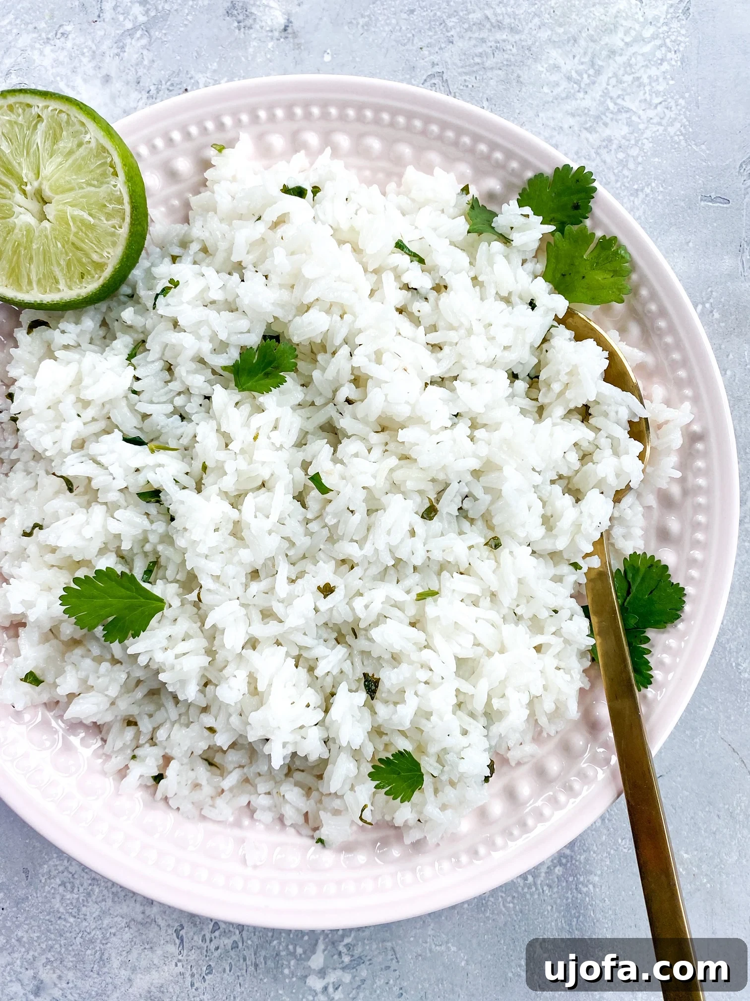 Close-up of fluffy Coconut Cilantro Lime Regular Rice garnished with fresh cilantro