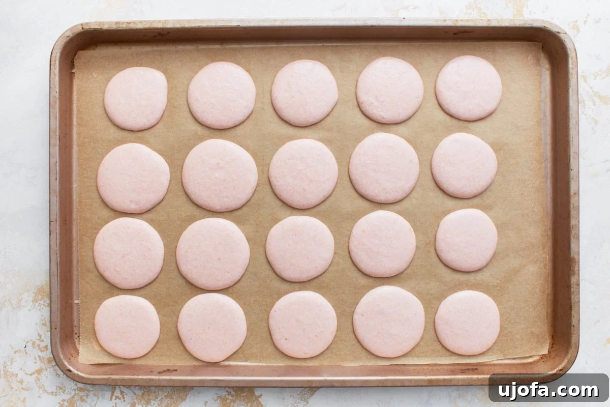 Macaron shells after resting for an hour, appearing smooth and dry to the touch on a baking sheet, indicating they are ready for baking.