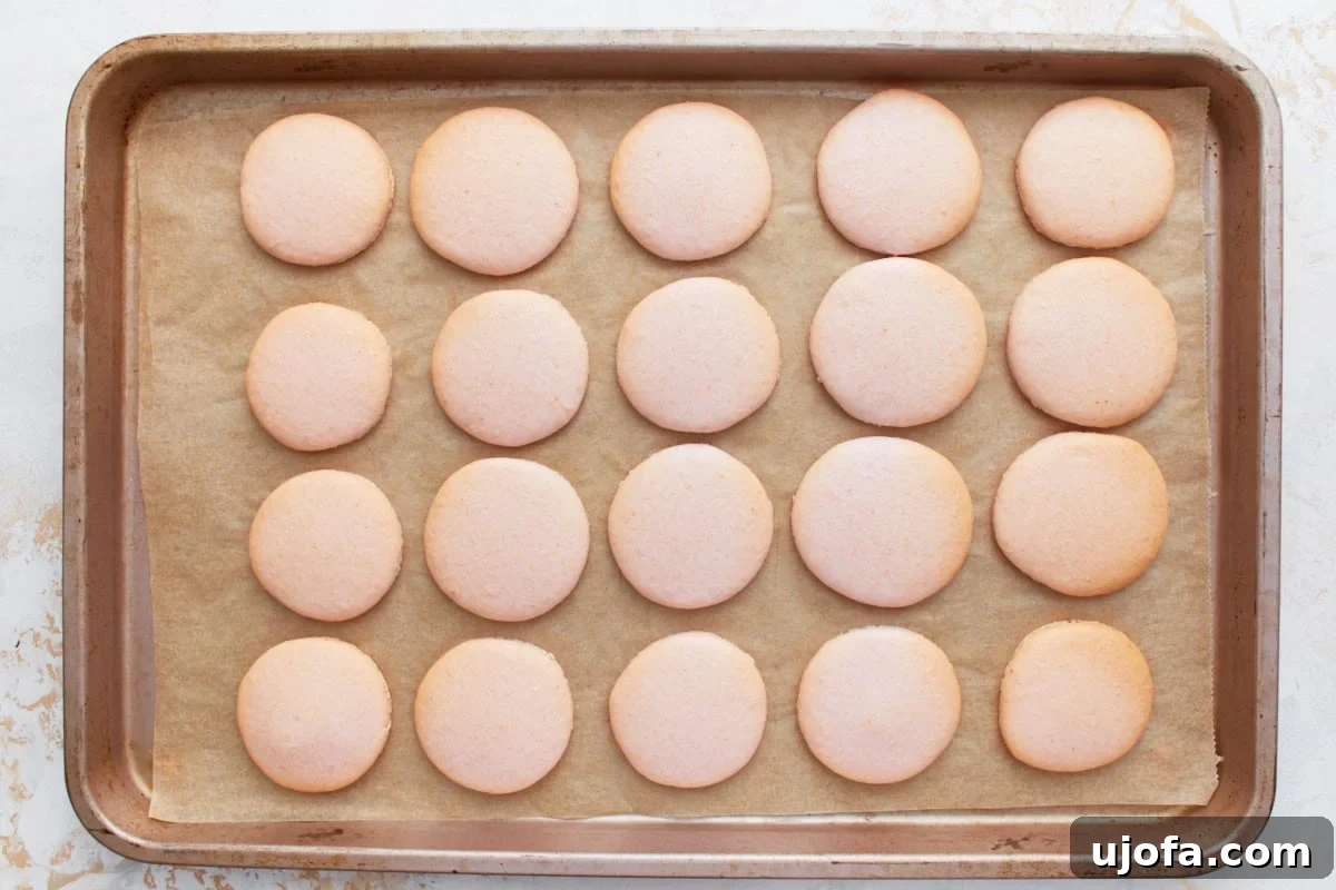 A tray of freshly baked pink macaron shells cooling, each with a smooth top and visible 'feet' at the base.