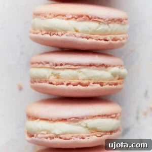 Close-up stack of pink French macarons with vanilla buttercream filling, showing smooth tops and crisp feet.