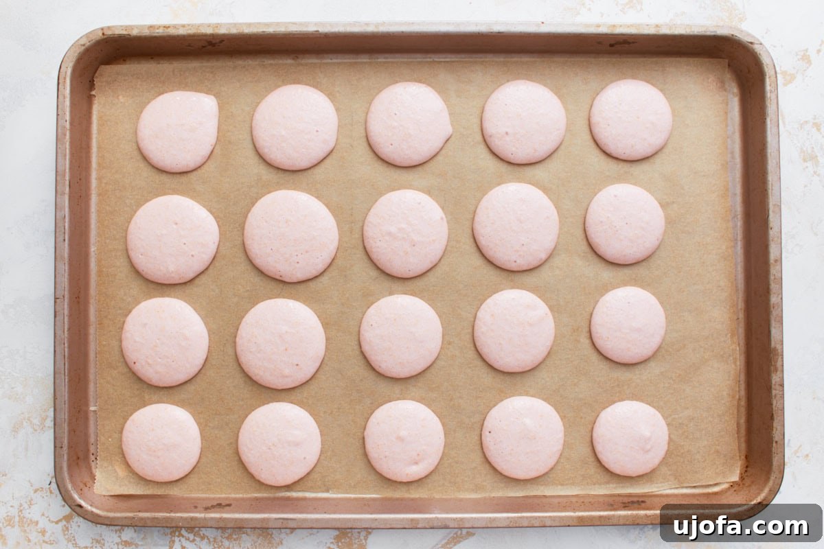 Unbaked macaron shells neatly piped into uniform 1-inch circles on a parchment-lined baking sheet, spaced evenly apart.