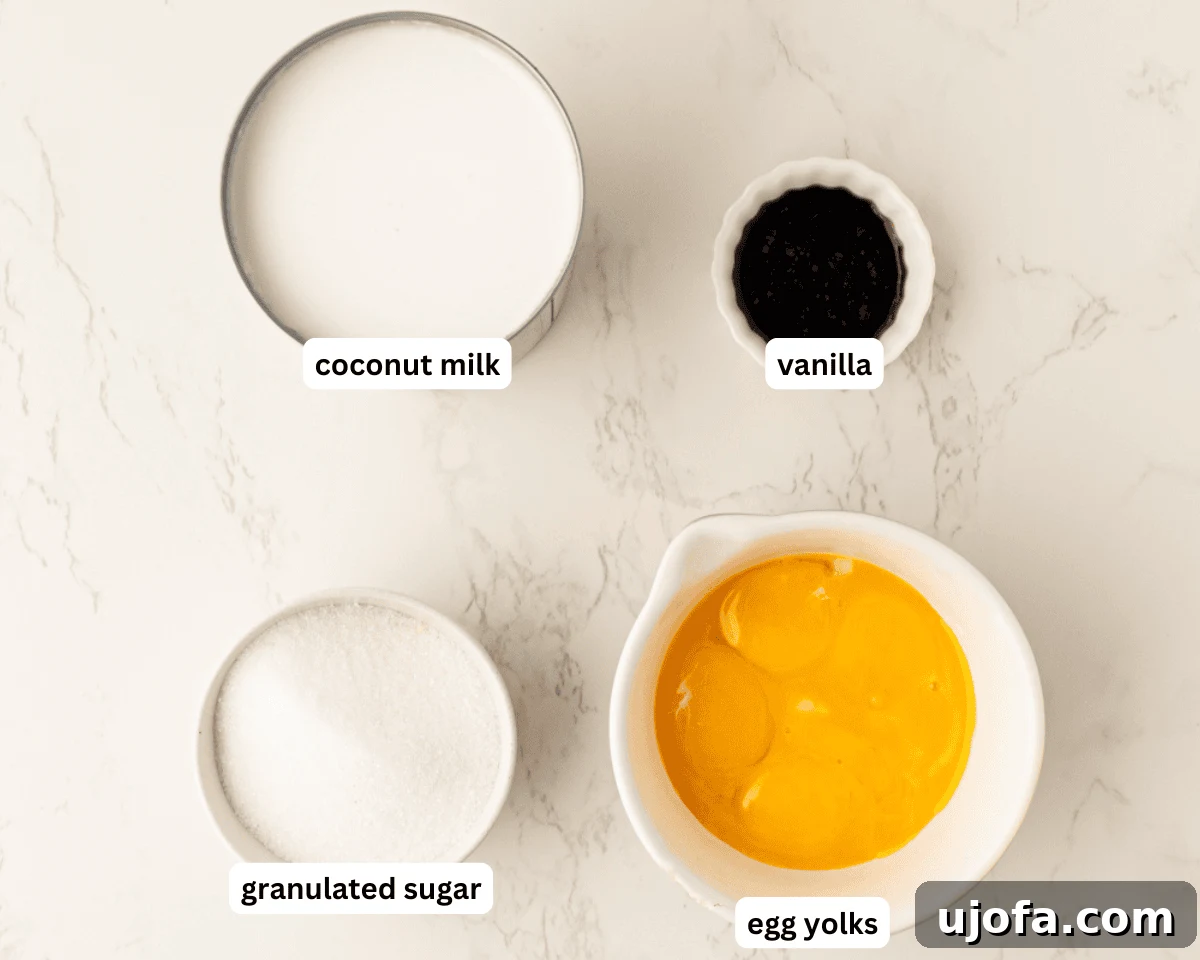 Plant Based Crème Brûlée Bliss 3 All the simple ingredients for dairy-free crème brûlée laid out: full-fat coconut milk, egg yolks, granulated sugar, and vanilla bean paste.