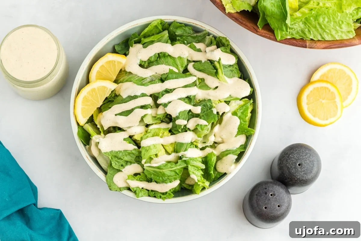 Creamy Dairy-Free Caesar Dressing 8 Romaine lettuce salad drizzled with dairy-free Caesar dressing served in a bowl