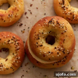 Perfect Keto Bagels 3 Keto bagels baked until golden brown and topped with everything bagel seasoning on parchment paper.