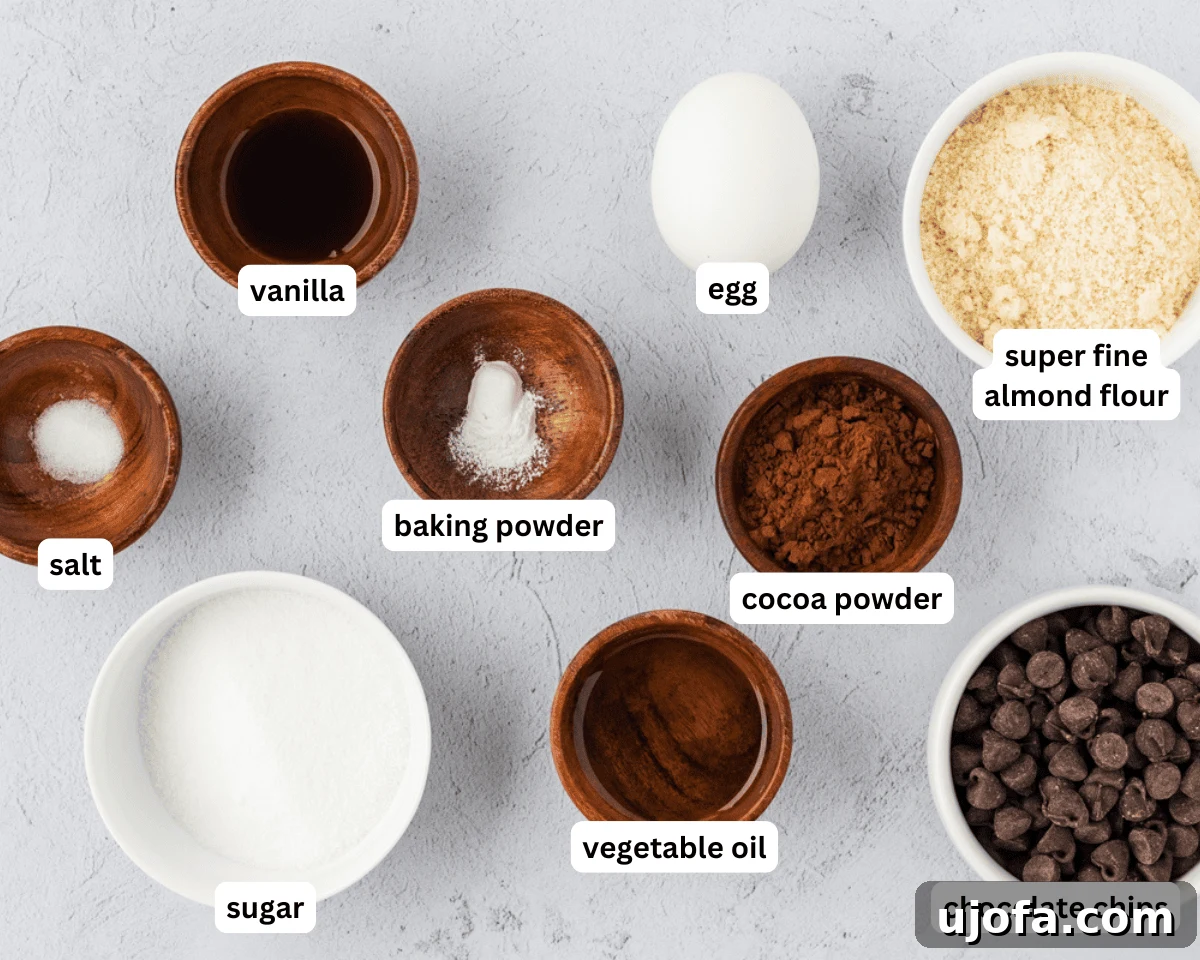 All the necessary ingredients for the almond flour chocolate mug cake laid out neatly on a table, including almond flour, cocoa powder, sugar, baking powder, salt, a large egg, vegetable oil, vanilla extract, and chocolate chips in small bowls.