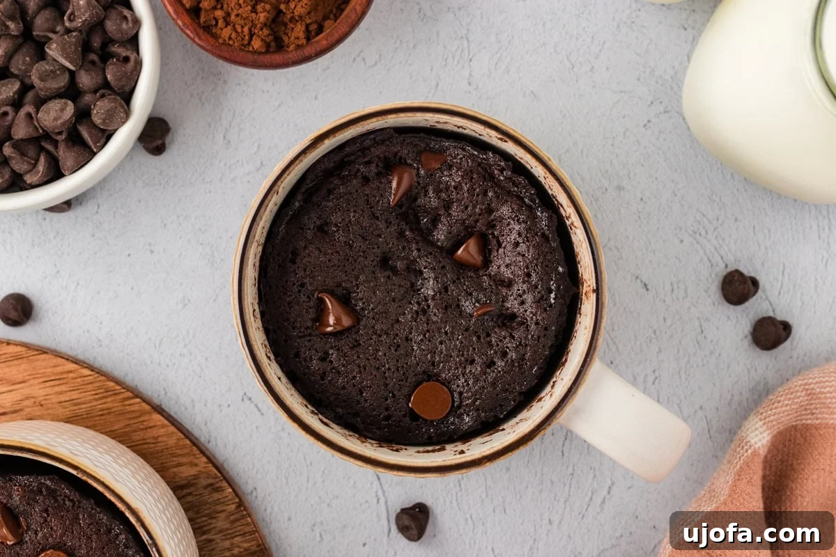A perfectly cooked almond flour chocolate mug cake, slightly risen and domed, sitting in a ceramic mug with melted chocolate chips visible on its surface, fresh from the microwave.