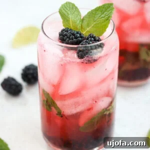 Paleo Blackberry Mojito, a refreshing cocktail garnished with fresh fruit and mint