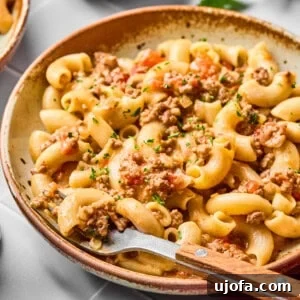 A delicious bowl of homemade gluten-free hamburger helper, perfectly creamy and hearty.