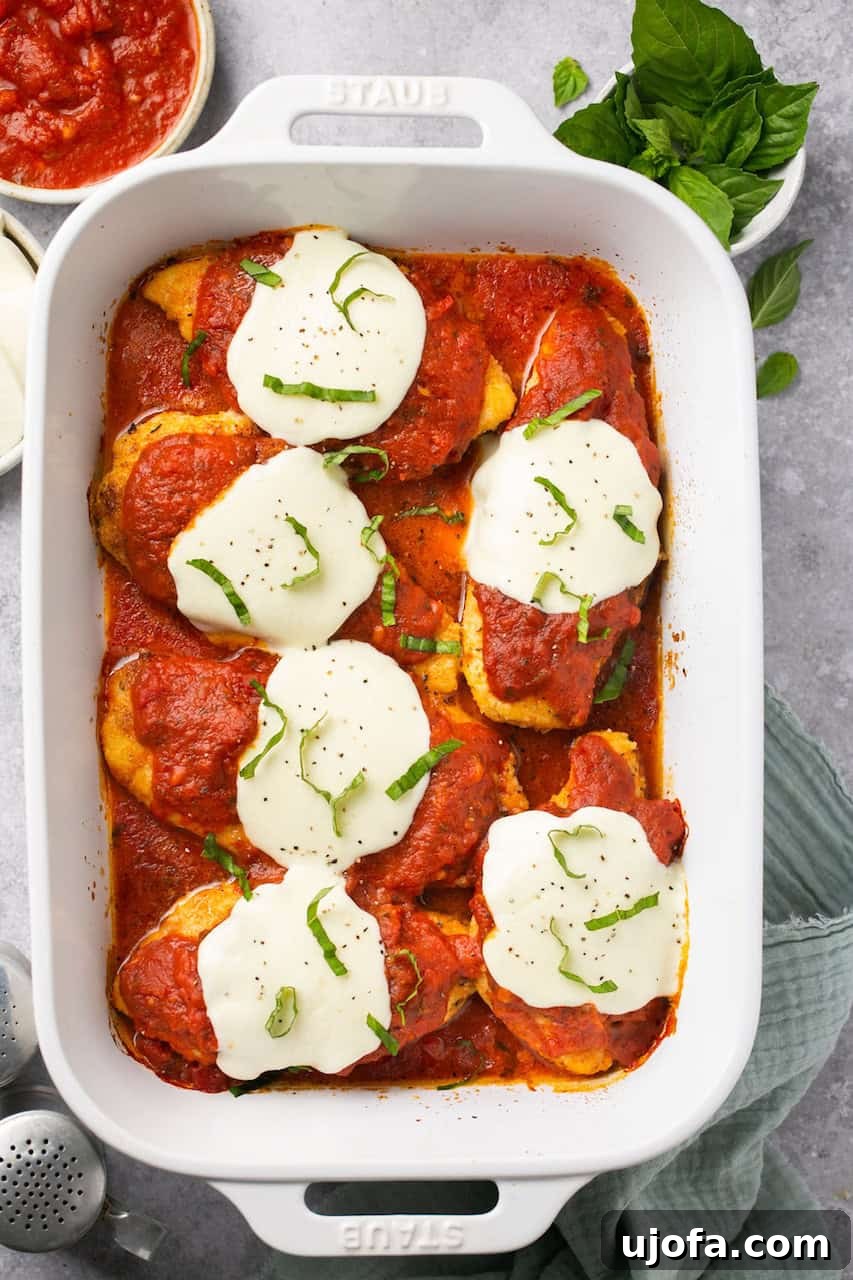 Six pieces of baked chicken parmesan arranged in a white baking dish, garnished with fresh basil.