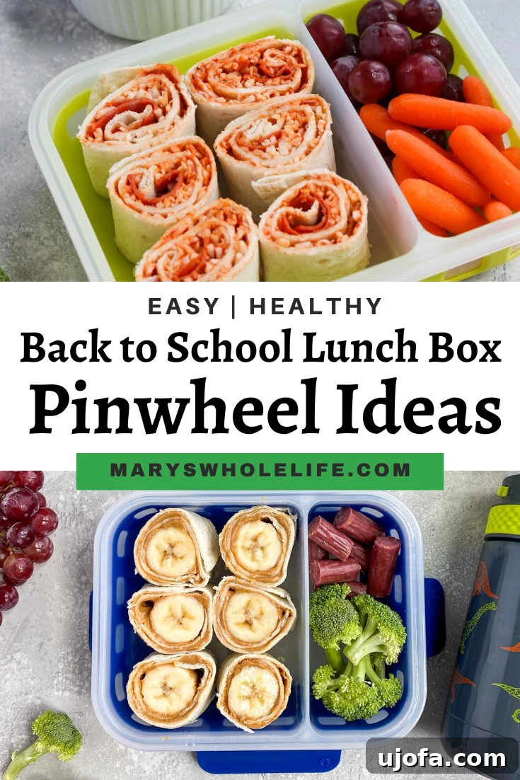 An appetizing spread of various pinwheel wraps, fresh fruits, vegetables, and snacks, ready to be packed into kids' lunchboxes for a healthy and enjoyable meal.