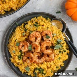 Whole30 Pumpkin Risotto with Shrimp