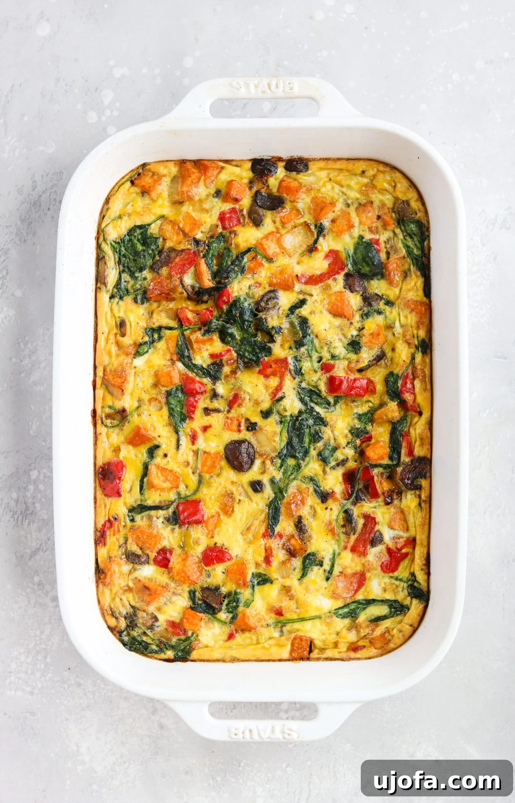 Wholesome Roasted Vegetable Breakfast Bake 2 A beautifully presented slice of Roasted Veggie Breakfast Casserole, showcasing vibrant vegetables and perfectly baked eggs.
