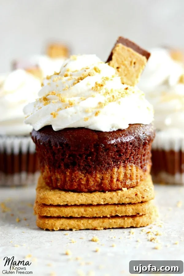 Gluten-Free S'mores Cupcakes with Marshmallow Buttercream Frosting