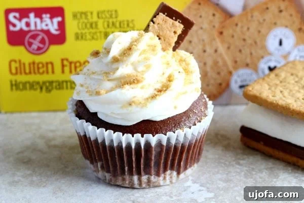 gluten-free s'mores cupcake